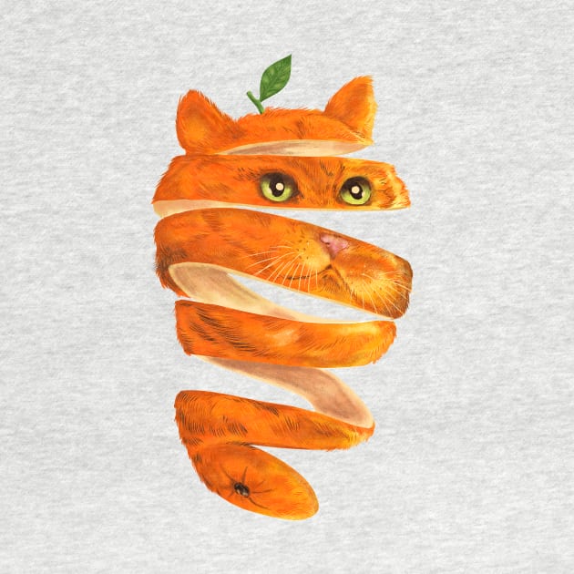 Orange Cat by kookylove